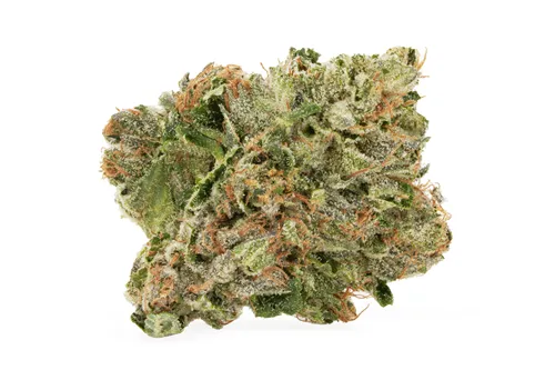 BC Organic Kraken - Simply Bare - Dried Flower