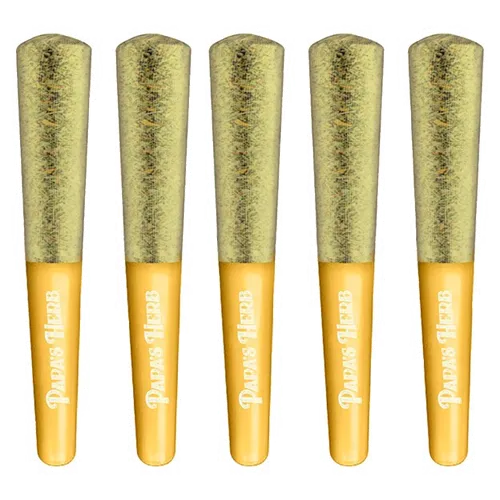 Product image of Blueberry Zlshie - Papa's Herb - Infused Joints