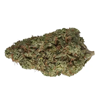 Product image of Cuban Linx - Tribal - Dried Flower