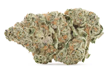 Product image of Gorilla Milk - Pure Sunfarms - Dried Flower - 28g