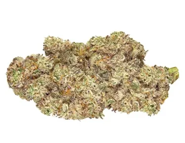 Product image of Grape Cream Cake - Qwest - Dried Flower