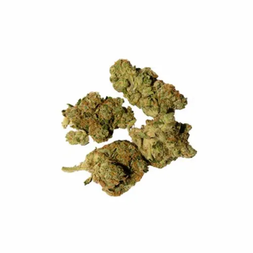 Product image of Frosted Gumbo - BC Green - Dried Flower