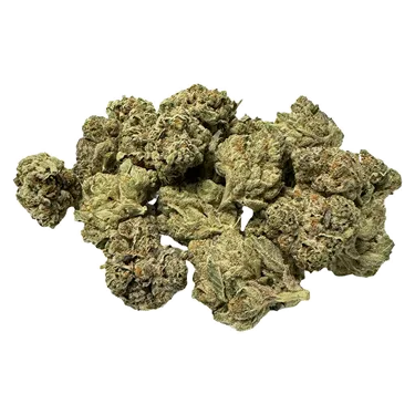 Product image of Deer in the Headlights Smalls - Buckshot Buds - Dried Flower