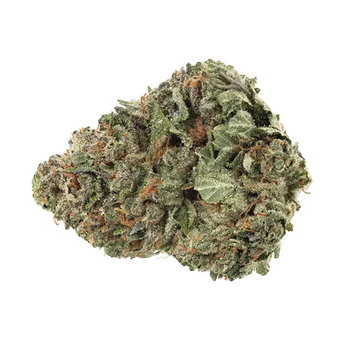 Product image of Bandwagon Hybrid - Homestead - Dried Flower