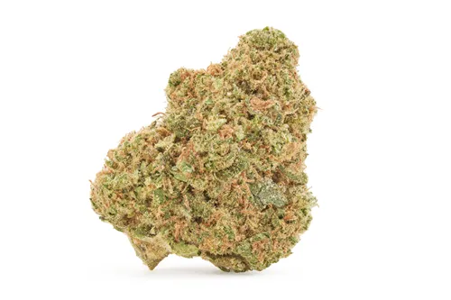 Blueberry Seagal - Color Cannabis - Dried Flower