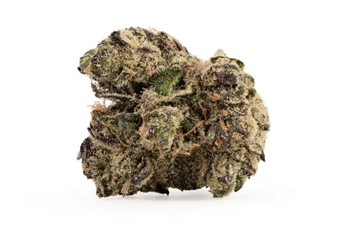 Sunset Sherbet Craft Flower - Woody Nelson - Dried Flower