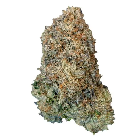 Apple Rock Candy - Cake & Caviar - Dried Flower