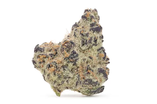 Big Smallz - Tenzo - Dried Flower