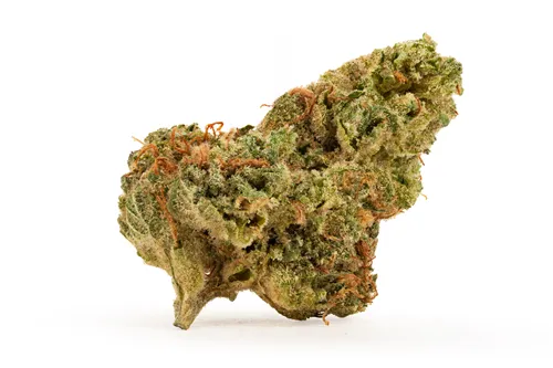 Product image of Mango Tangi - Good & Baked - Dried Flower