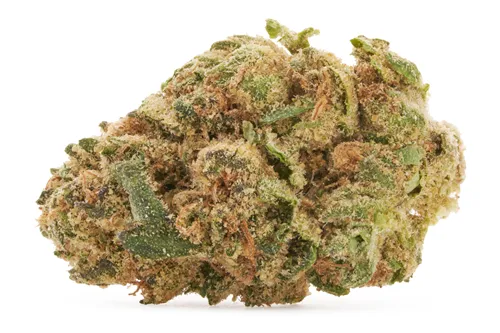 Product image of Animal Rntz - Redecan - Dried Flower