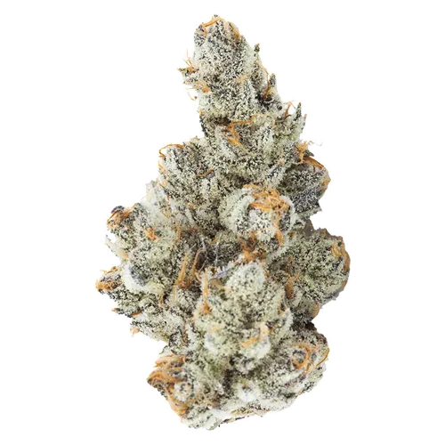 Product image of Black Truffle - 3rd Coast Genetics - Dried Flower