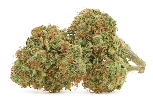 Product image of Romulan Grapefruit - Green Mountain Health Alliance - Dried Flower