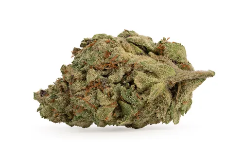 Product image of Bath House - Stone Grove - Dried Flower