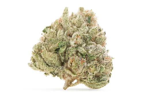 Product image of Hippie Diesel Lto - Salt Spring Magic - Dried Flower