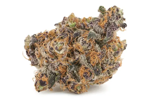 Product image of Animal Sorbet x Kush Mints - BLK MKT - Dried Flower