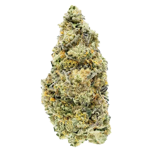 Product image of Dark Rainbow Craft Flower - Woody Nelson - Dried Flower