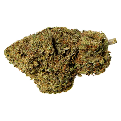 Product image of Pink Lemonade - Abide - Dried Flower