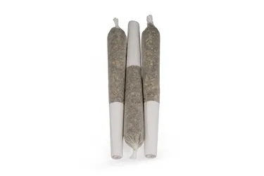 Product image of Star Struck - MSIKU - Joints