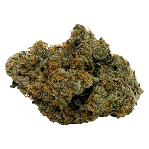 Product image of Beach Crasher - DOJA - Dried Flower