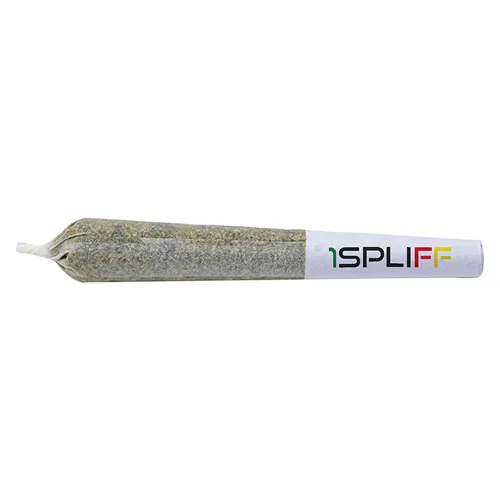 Orange Rntz - 1Spliff - Joints