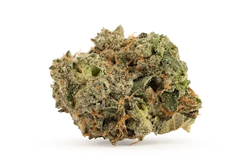 Product image of Jamaican Dream - Good & Baked - Dried Flower