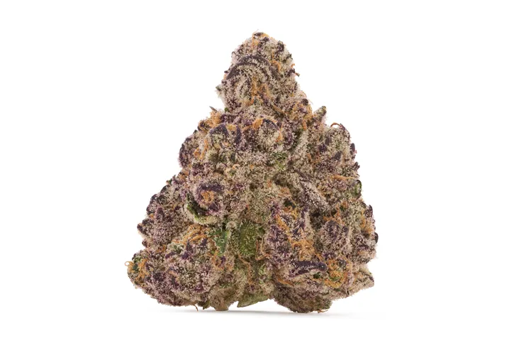 Product image of Rainbow P - BLK MKT - Dried Flower