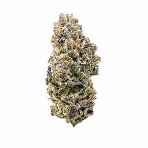 Product image of Snicklefritz Sativa - Snicklefritz - Dried Flower