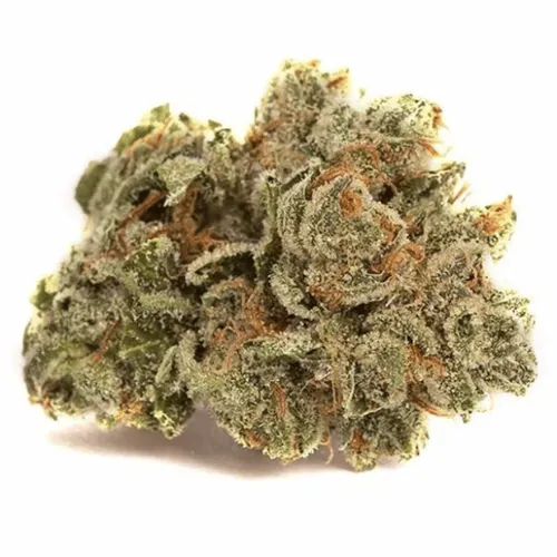 Alien Dawg - Good Supply - Dried Flower