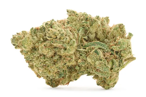 Honey Butter - BC OZ - Dried Flower
