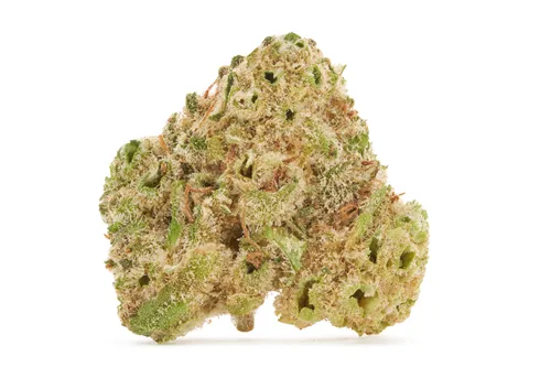 Product image of Sleeping Tiger Smalls - BC Smalls - Dried Flower