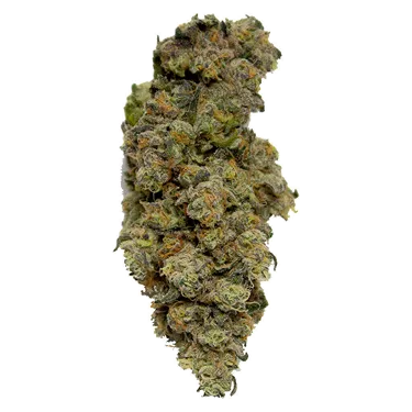 Product image of Lemon Pepper Punch - Greenjoy - Dried Flower