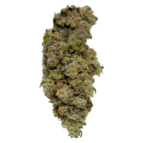 Product image of Lemon Pepper Punch - Greenjoy - Dried Flower