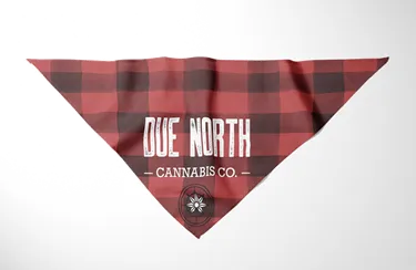 Product image of Pet Bandana, Plaid