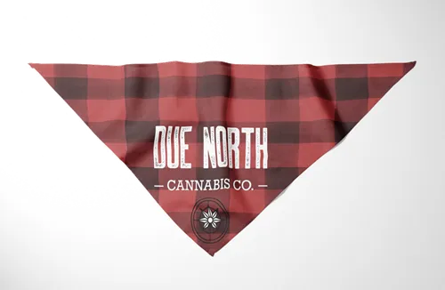 Product image of Pet Bandana, Plaid