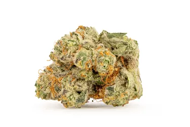 Product image of BC Organic Lemolada - Simply Bare - Dried Flower
