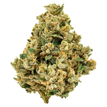 Product image of Strawberry Grail - Cheers Cannabis - Dried Flower