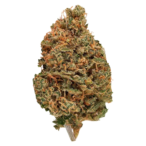 Product image of Citroli - Bud Lafleur - Dried Flower