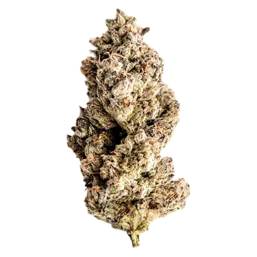 Product image of Red Velvet Ice Cream - Seaweed - Dried Flower