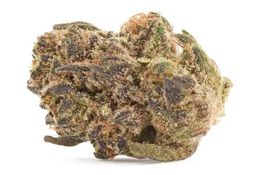 Product image of Frosted Lemons - 3Saints - Dried Flower