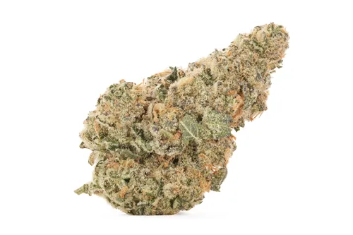 Wes' Coast Kush - MTL Cannabis - Dried Flower