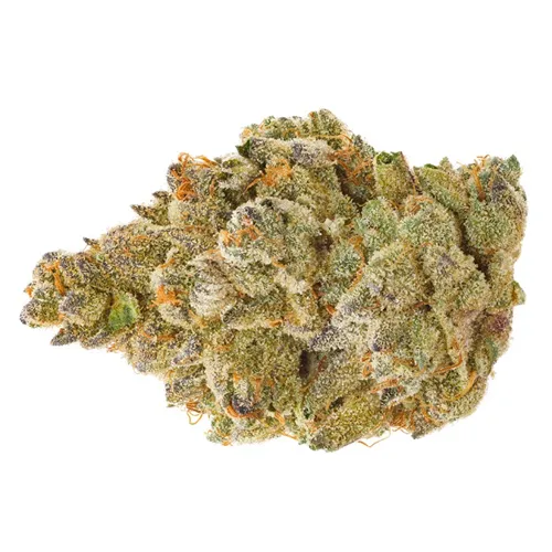 Product image of Gasberry Pie - Daily Special - Dried Flower