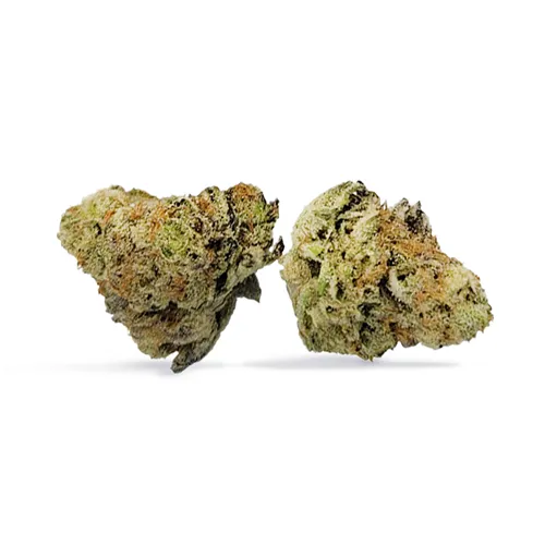 Product image of Uppercut Punch - Alberta Bud - Dried Flower