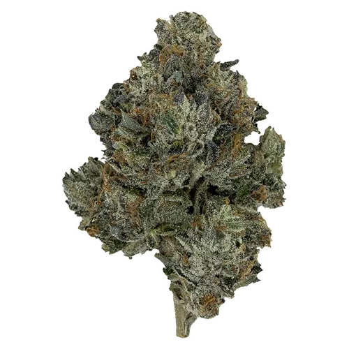 Death Bubba - Pistol and Paris - Dried Flower