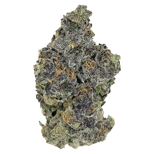 Product image of Blackout Bobby - Pistol and Paris - Dried Flower