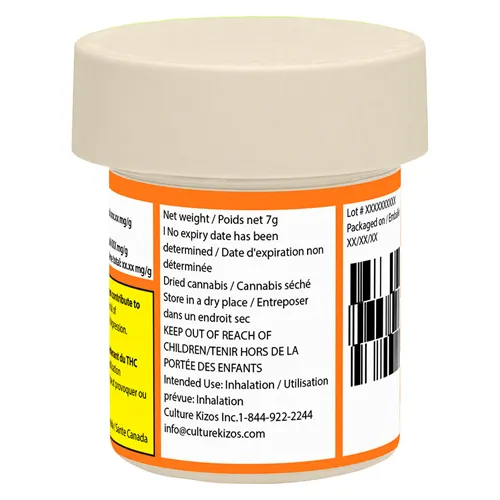 Electric Daisy - Coterie - Dried Flower