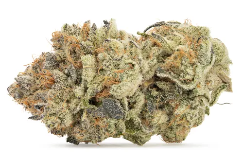 Product image of Blueberry Sugar - Valhalla Flwr - Dried Flower