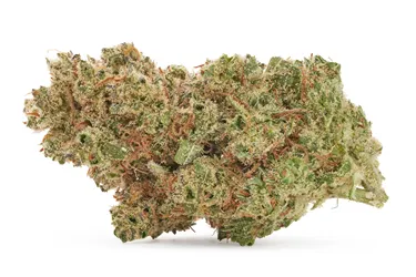 Product image of Ripped Bubba Smalls - BC Smalls - Dried Flower