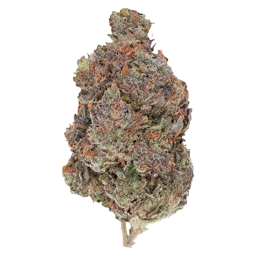 Product image of Diablo - Pistol and Paris - Dried Flower
