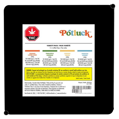 Fruit Collection - Potluck - Dried Flower