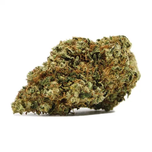 Diesel - Spinach - Dried Flower